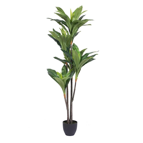 Dare2Decor Real Touch Dracaena X5 Everyday Tree with 68 LVS in - 60 in. DA1634455 - main